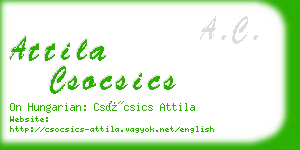 attila csocsics business card